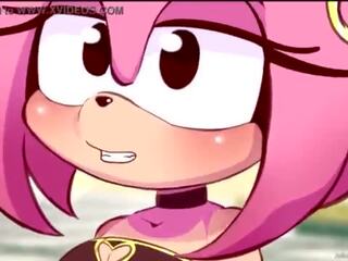 Amy rose hotellet