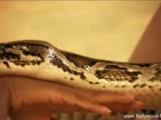 Bollywood și the fermecător snake